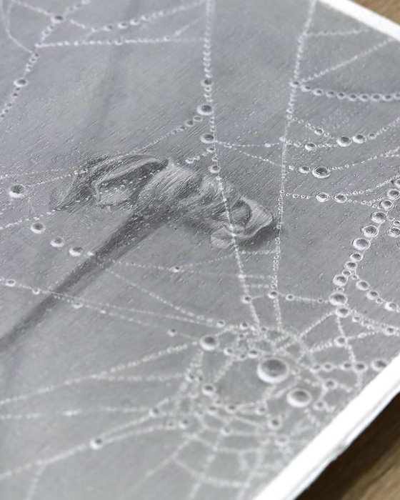 Spiderweb: Crystal Lace