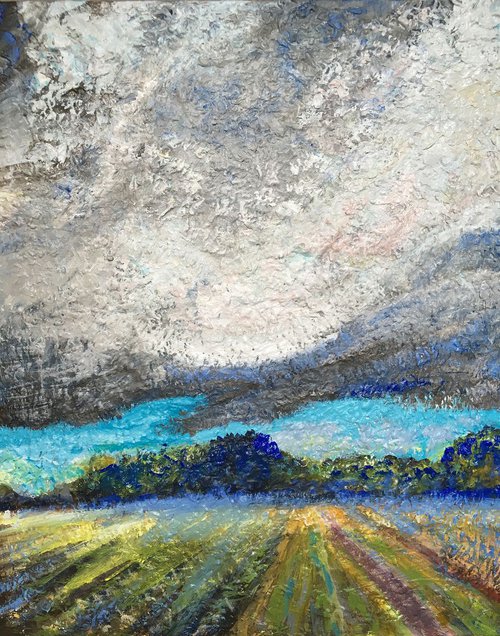 cloudy farmland by René Goorman
