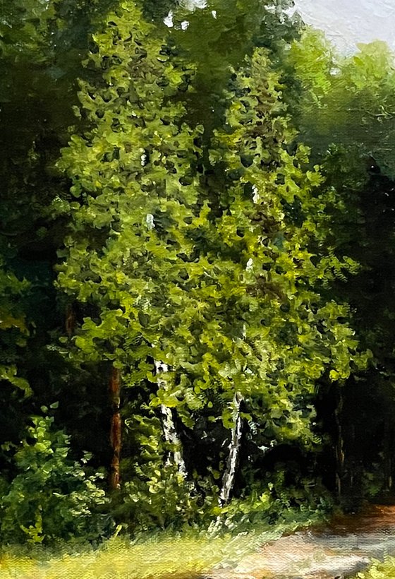 Two Birch Trees