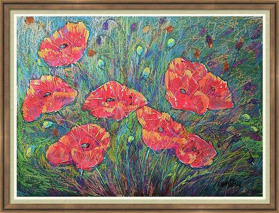 Poppies 4