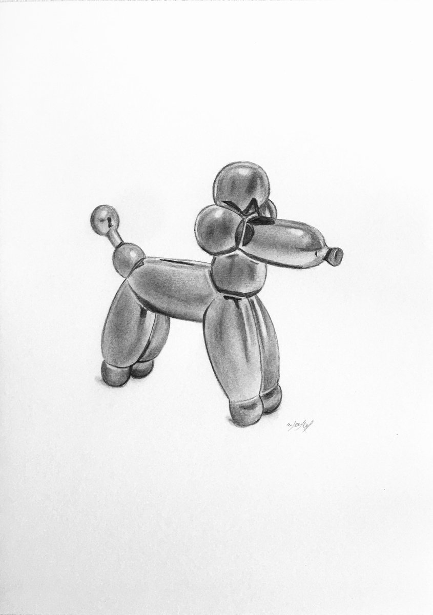 Poodle balloon dog by Amelia Taylor