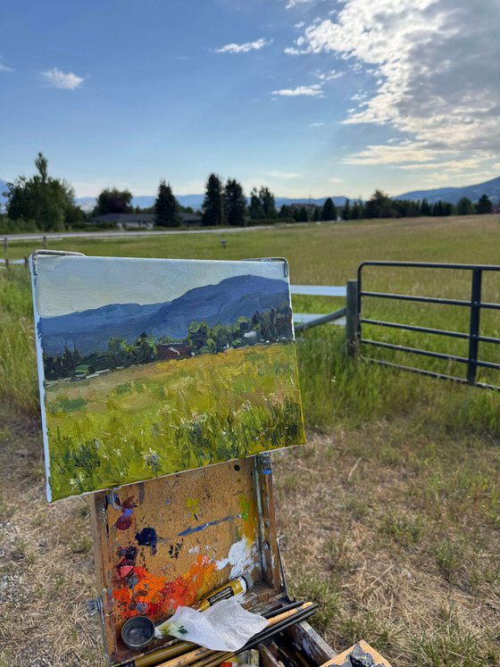 Summer Meadow
