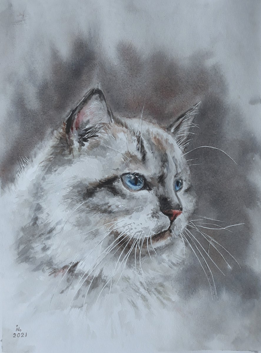 Kitty by Ilona Borodulina