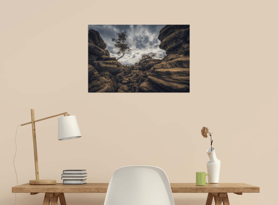 Brimham rocks in Yorkshire