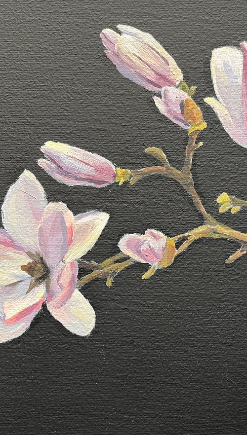 Magnolia by Alona Vakhmistrova