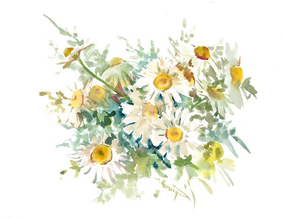 Chamomile flowers