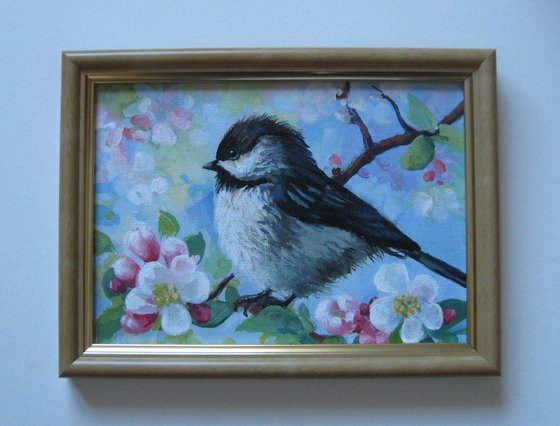 Chickadee