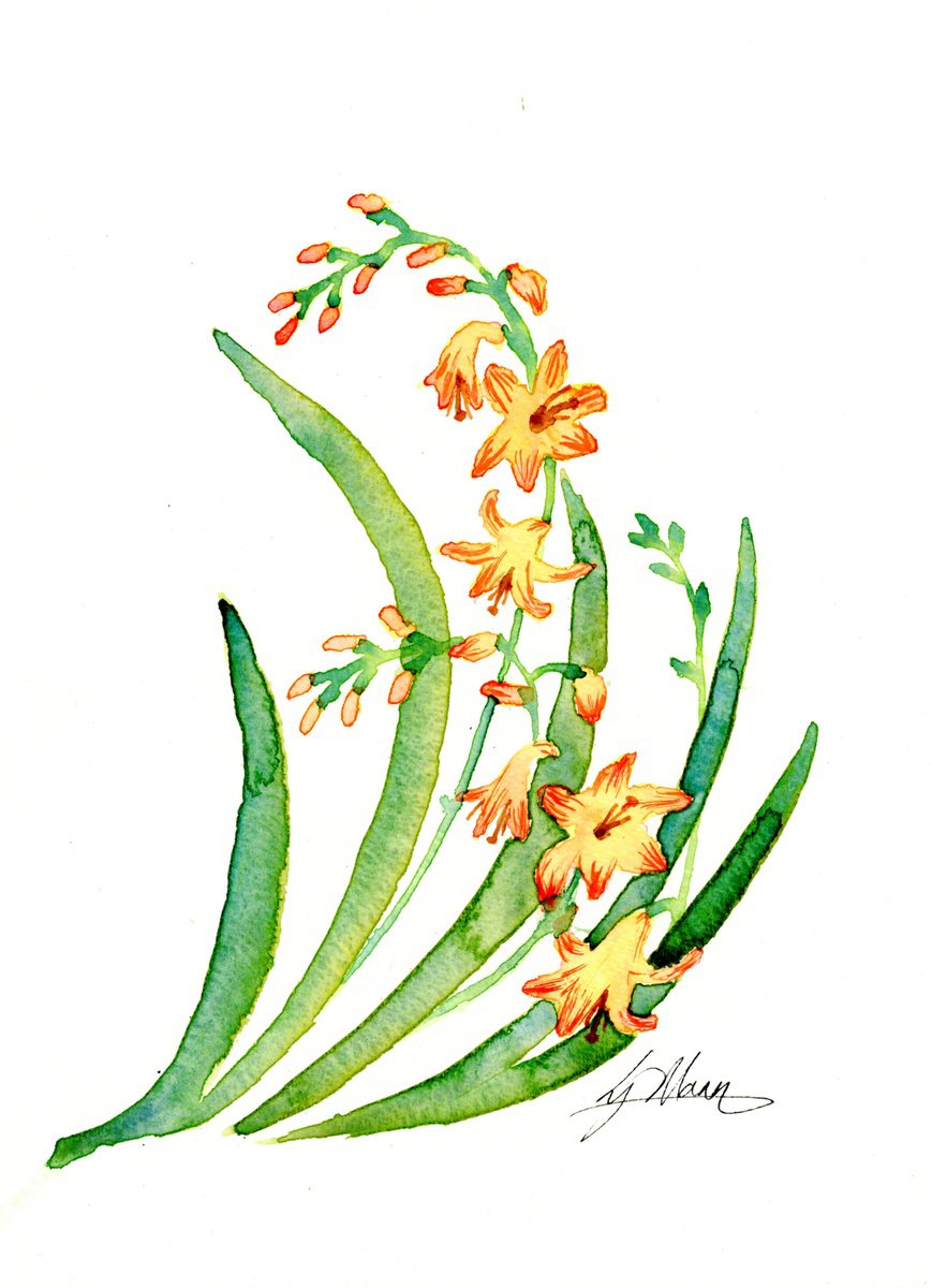 Crocosmia motif by Lisa Mann