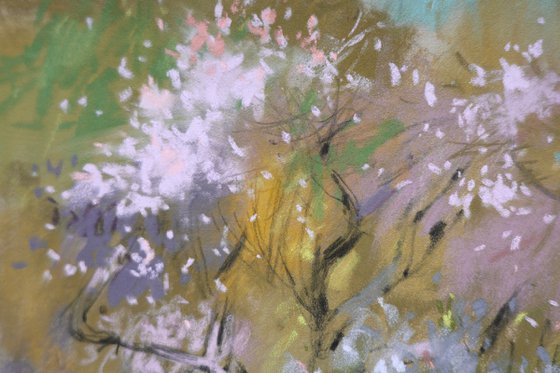 In a blossoming park