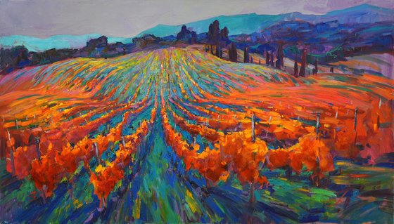 Tuscan vineyards