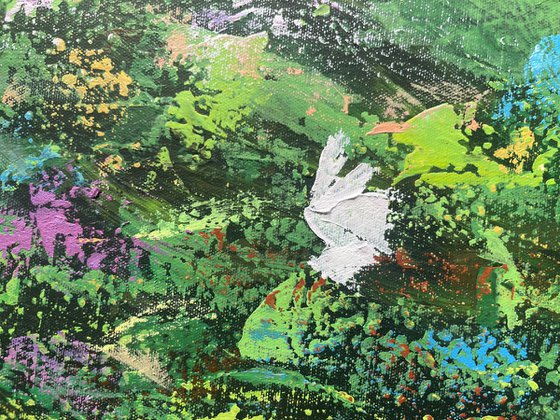 From Spring to The Summer