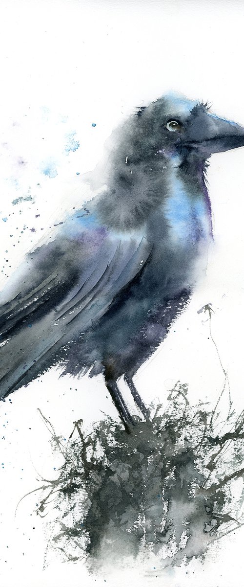 The crow by Olga Tchefranov (Shefranov)