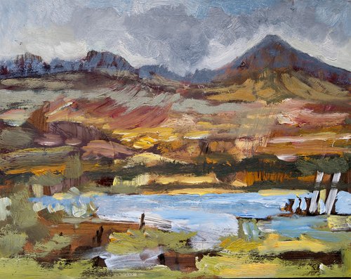 The Arran Hills, Scotland by Elizabeth Anne Fox