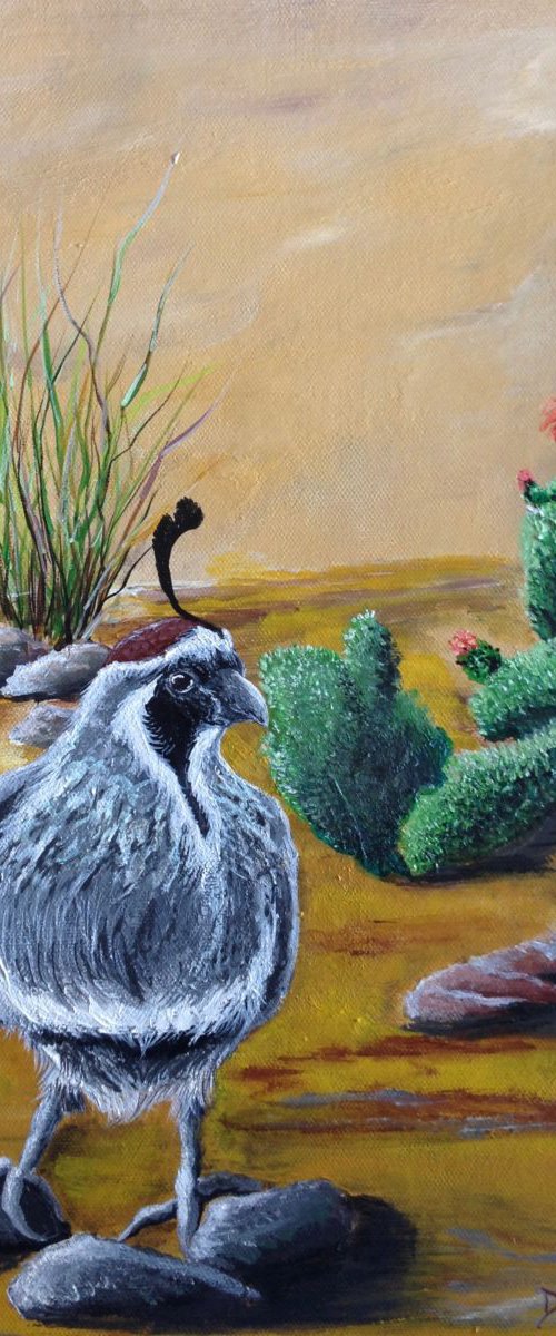 Desert Quail by Donna Daniels