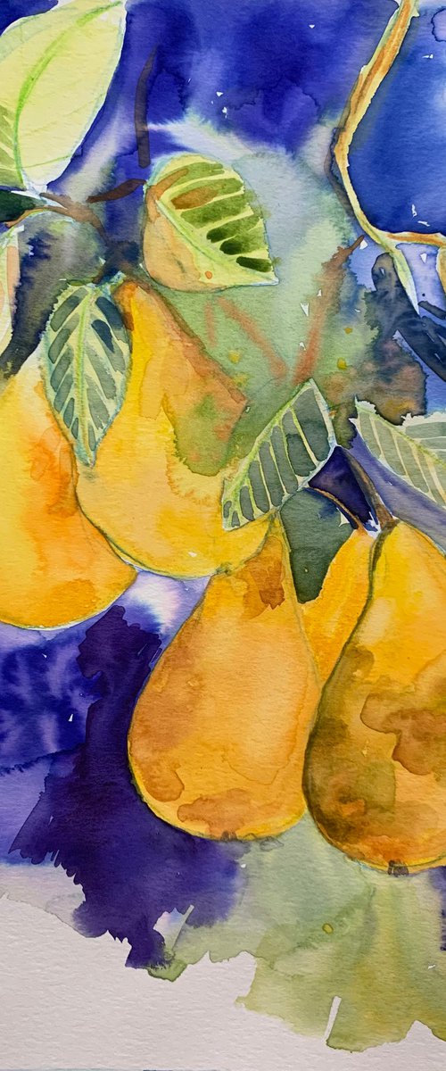 Fruits pears tree by Olga Pascari
