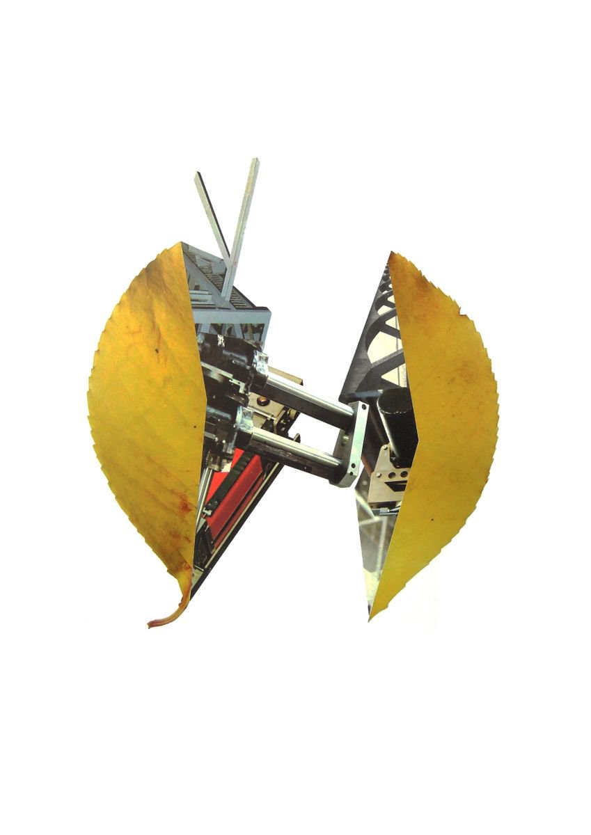 Botanical Collage By Benjamin West, 12 X 17, Leaf 2, Original Artwork