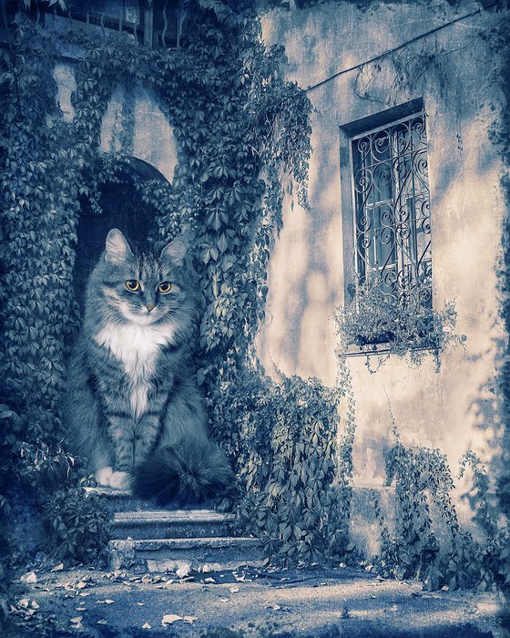 Insomnia.