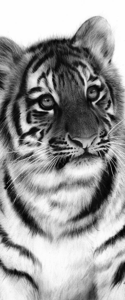 Tiger Cub by Danguole Serstinskaja