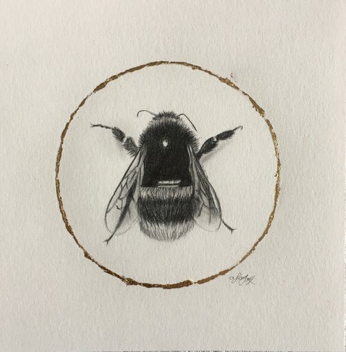 Bumblebee by Amelia Taylor