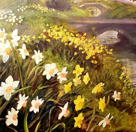 Daffodils, Clanfield