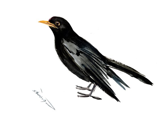 Blackbird