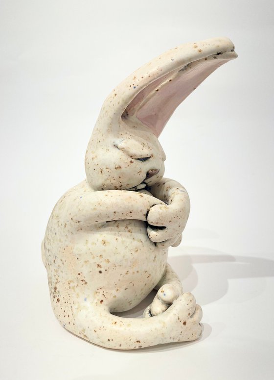 Dreamer Rabbit