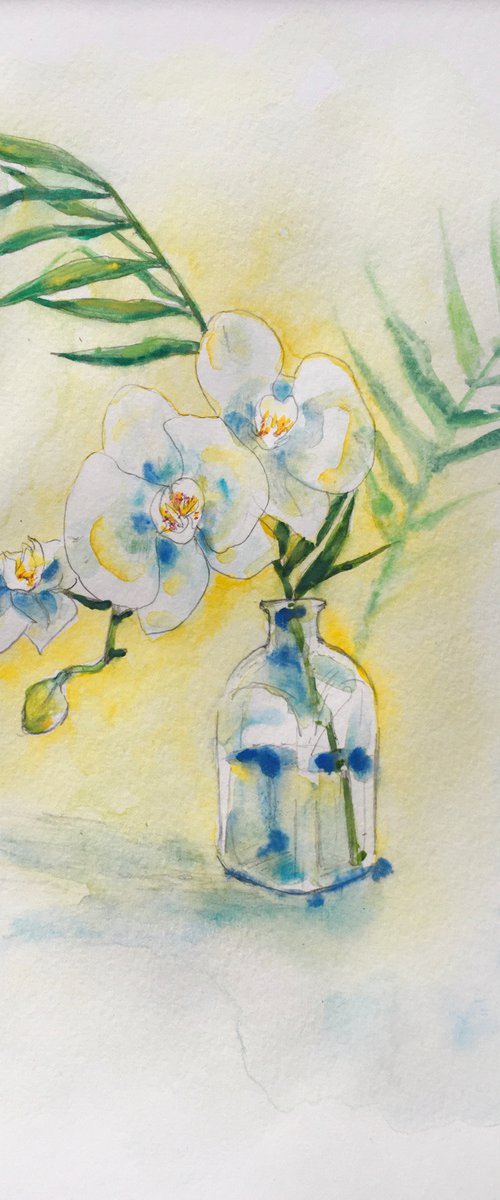 White Orchid by Yumi Kudo