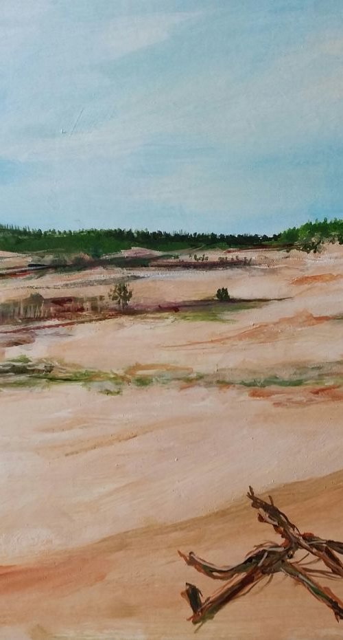 Drunense duinen by Els Driesen