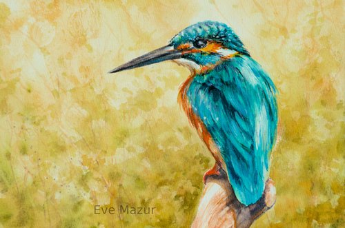 Kingfisher by Eve Mazur