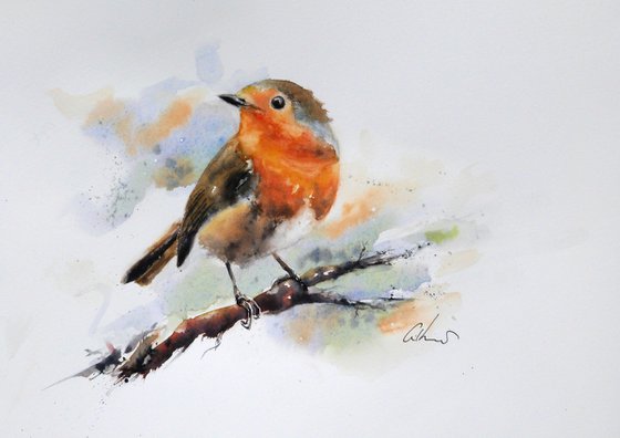 Robin