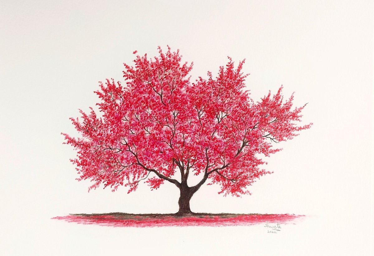 Photorealistic Pencil Drawing , Crabapple Tree Ii By Shweta Mahajan, 12 X 8, Artwork For Sale On Artfinder
