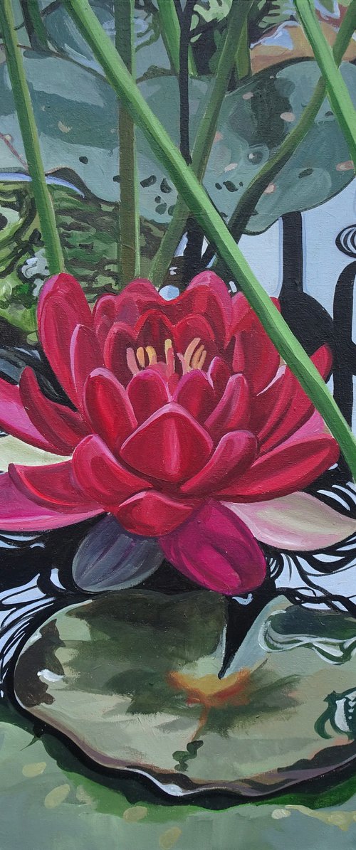 Red Waterlily by Joseph Lynch