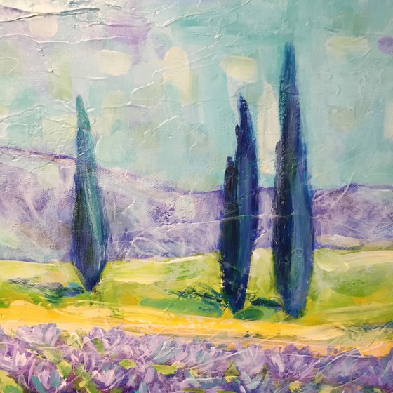 Lavender field - Provence