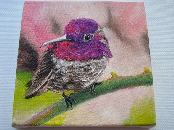Purple Glow Hummingbird