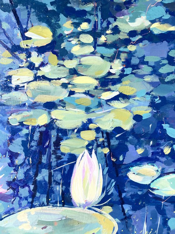 Flowering Water Lilies 3