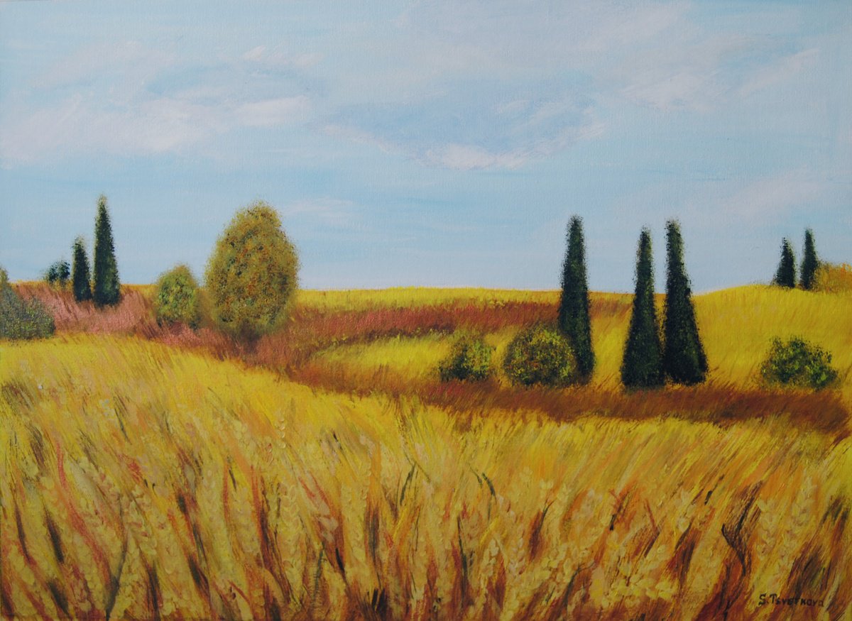 Impressionistic Landscape Oil Painting By Simona Tsvetkova, 22 X 16", Fields, Original Artwork