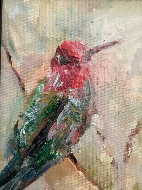 Hummingbird