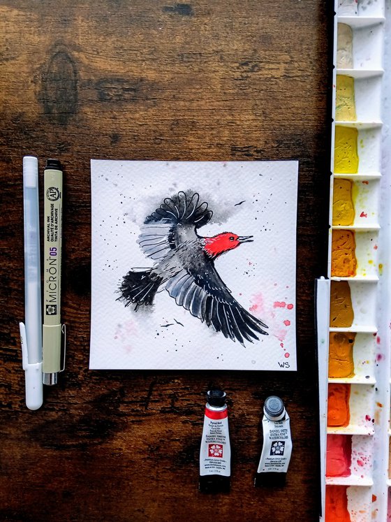 Red-headed woodpecker #1