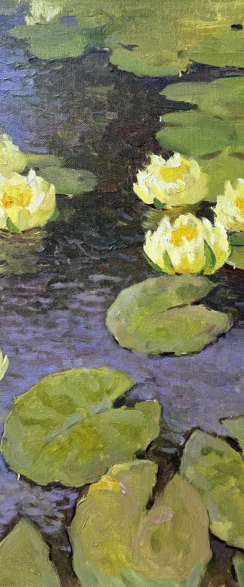 Water Lilies by Evgeniia Mekhova