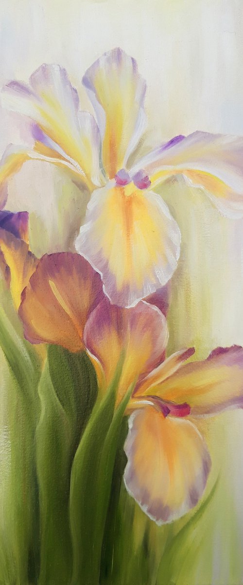 "Sunny irises" by Anna Steshenko