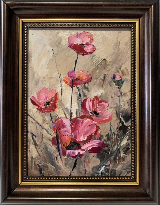 Poppies Pink Flowers.