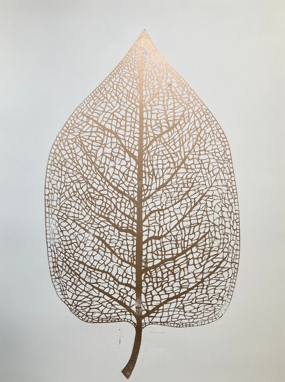 Leaf Skeleton