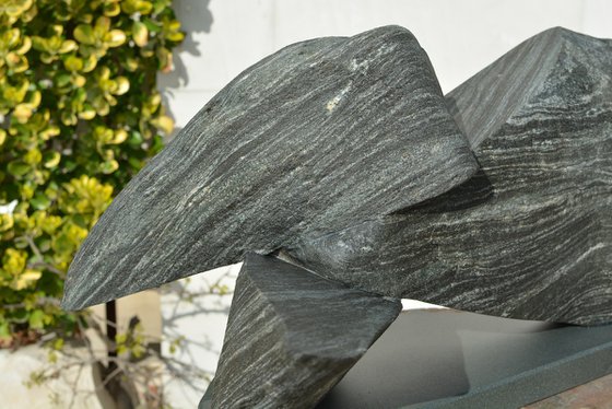 "Particular Insight"