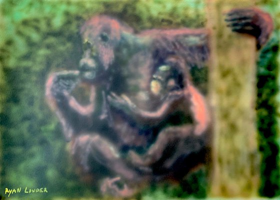 Orangutan and Baby In A Tree