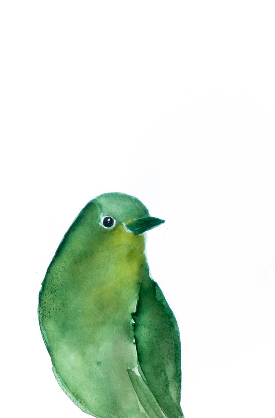 Bird