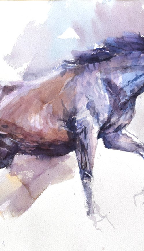 Horse in the run  3 (76x56) by Goran Žigolić Watercolors