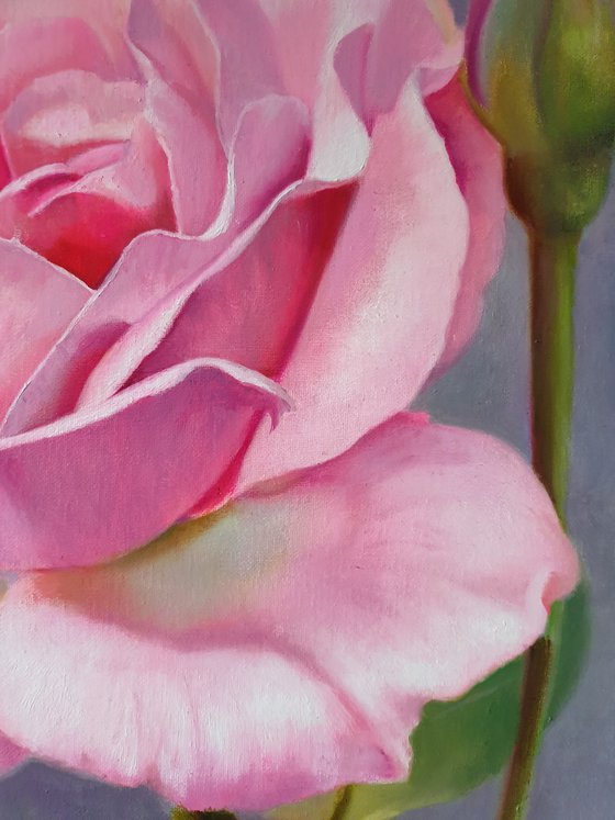 "Sounds of tenderness."  rose flower  liGHt original painting  GIFT (2021)