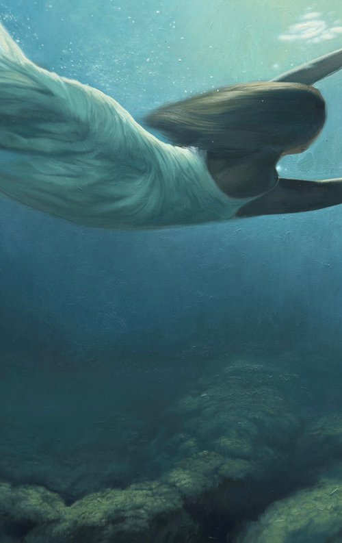 Underwater 2 by Anastasia Parfilo