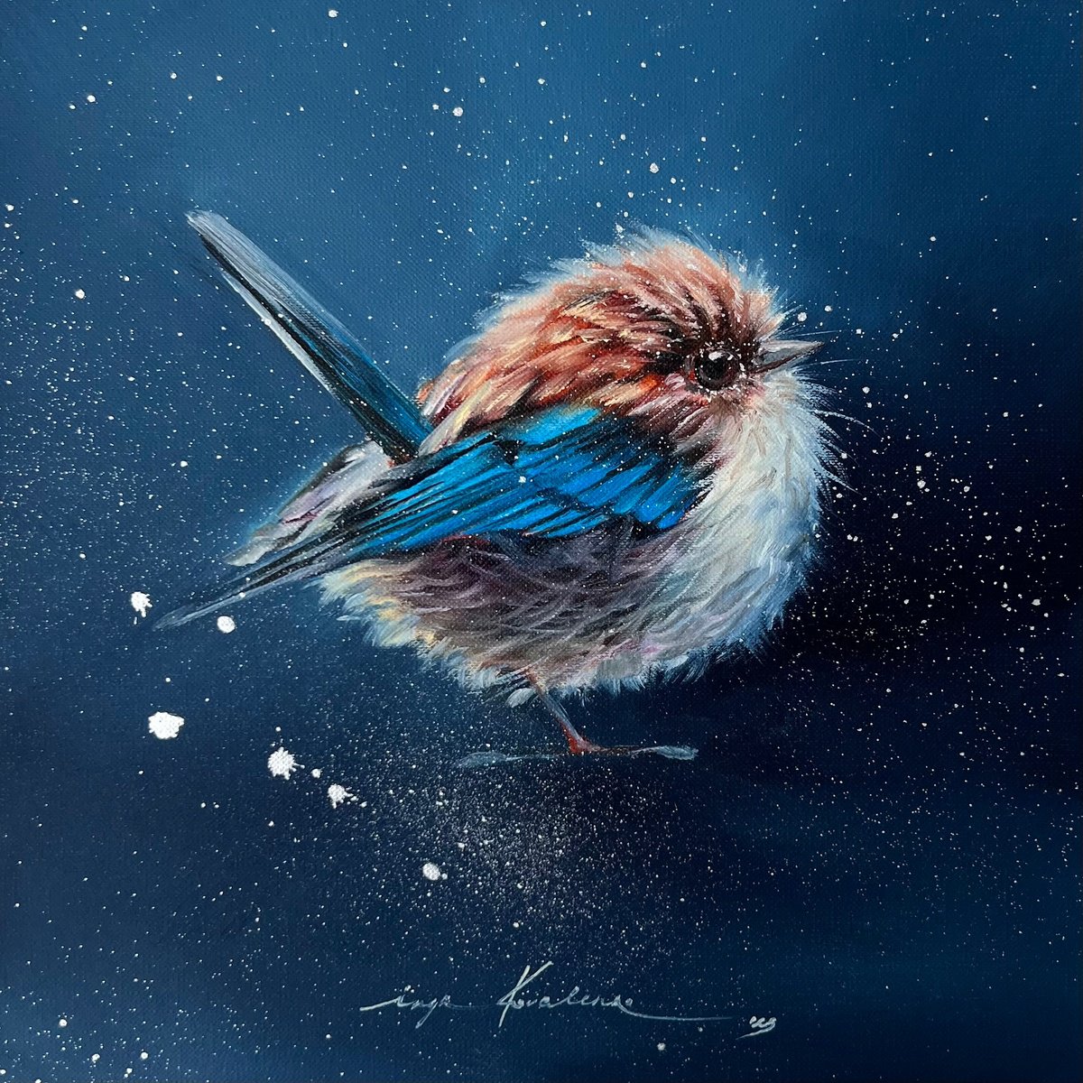 Robin bird by Inga Kovalenko