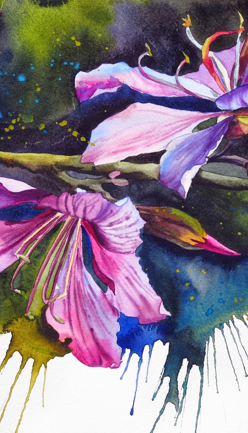 Expressive bauhinia by Delnara El